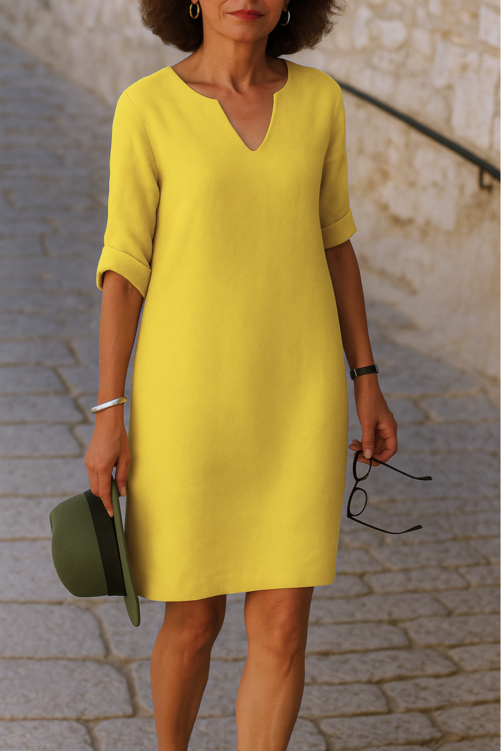 Elvy | Sleek V-Neck Dress